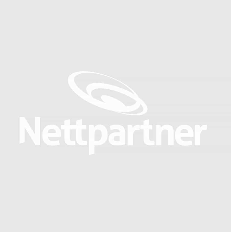 nettpartner-logo-illu-white nettpartner-logo-illu-white