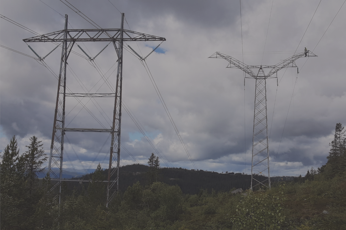 Bilder nettsiden (1)