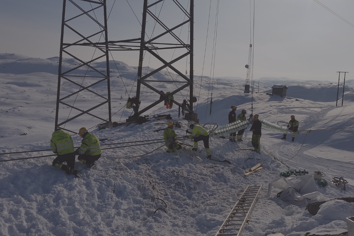 Bilder nettsiden (3)